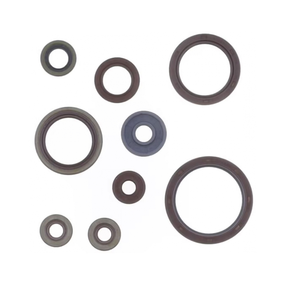 Athena Маслени семеринги кит Beta RR350 13-25, RR380-490 15-25, X-Pro350-490 2025 - изглед 3